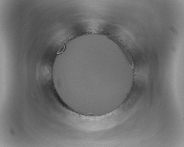 X0000115390043200911171505