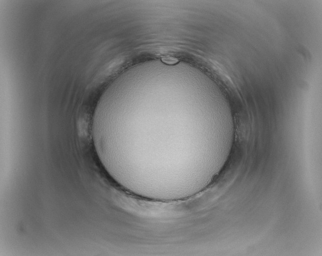 X0000115390044200911171505