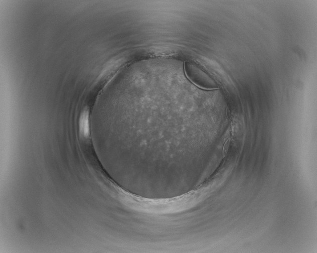 X0000115390046200911171505