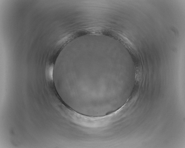 X0000115390047200911171505