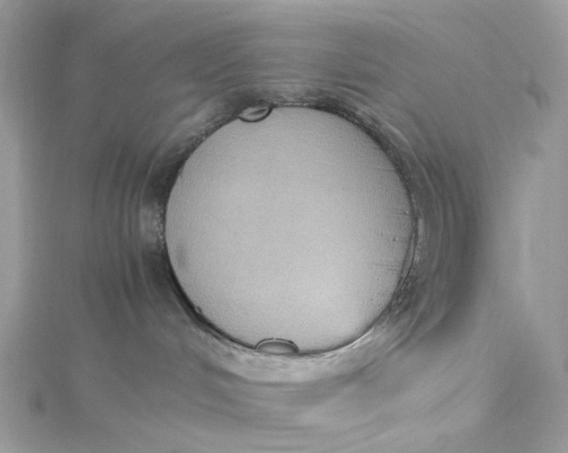 X0000115390048200911171505