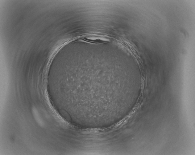 X0000115390049200911171505