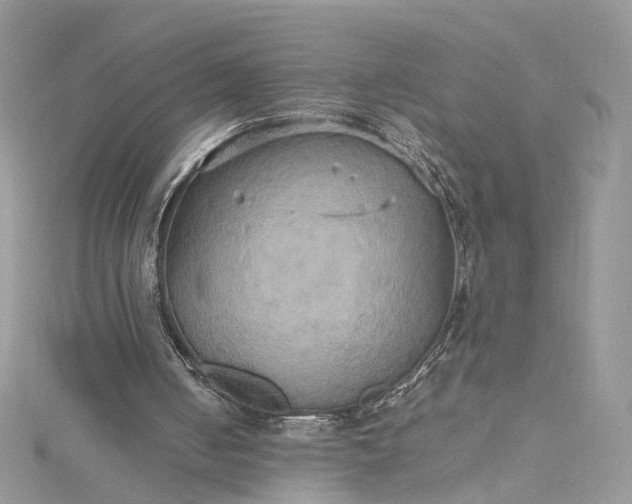 X0000115390050200911171505