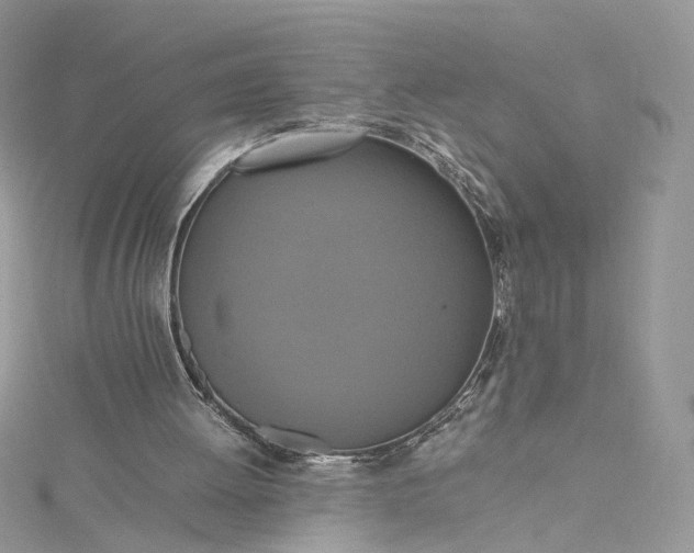 X0000115390052200911171505