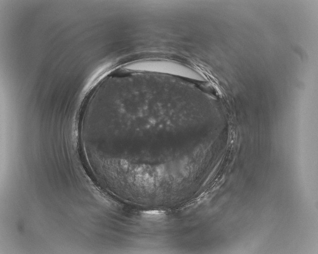 X0000115390053200911171505