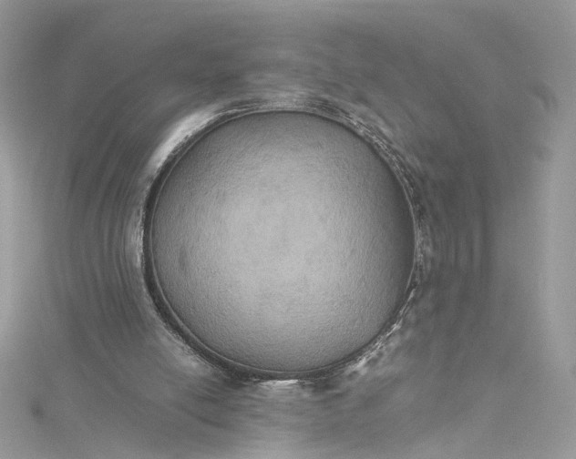 X0000115390054200911171505