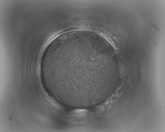 X0000115390055200911171505