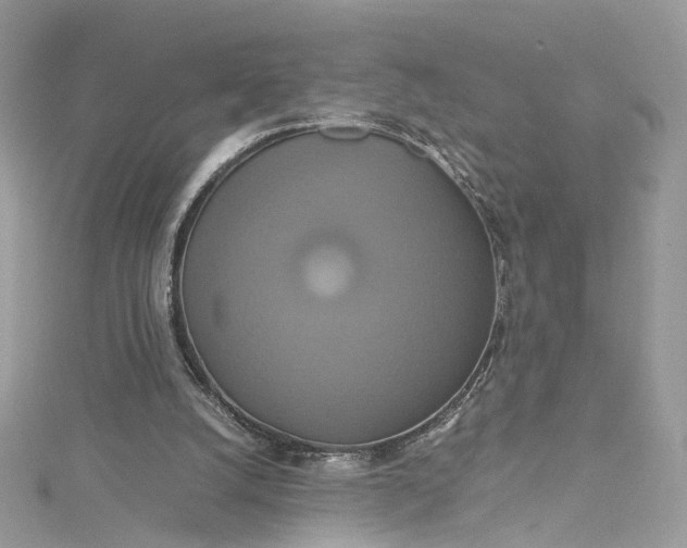 X0000115390056200911171505