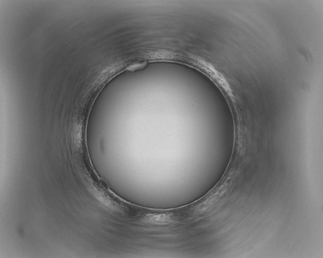 X0000115390057200911171505