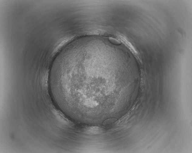 X0000115390058200911171505