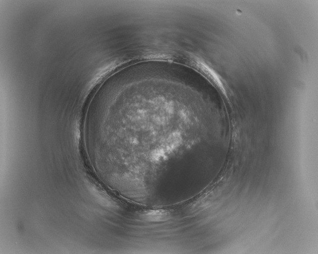 X0000115390059200911171505