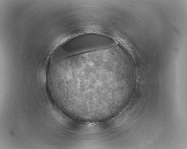 X0000115390060200911171505