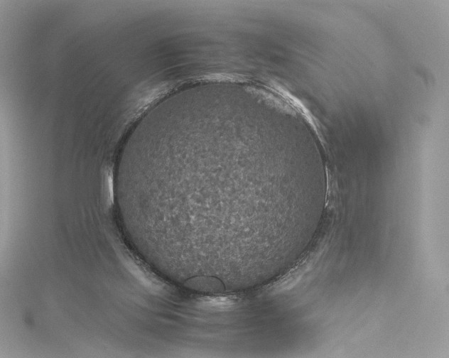 X0000115390061200911171505