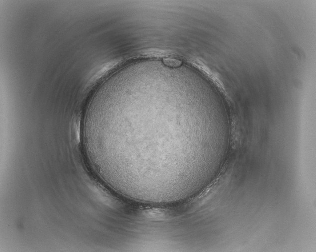 X0000115390062200911171505