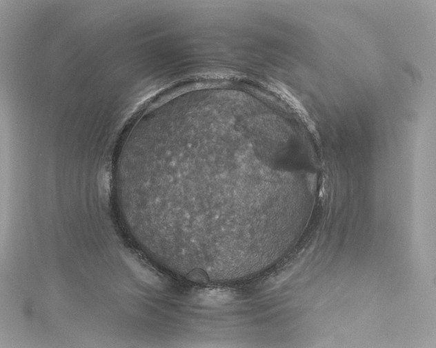 X0000115390063200911171505