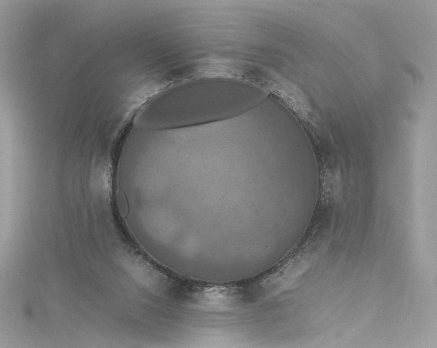 X0000115390064200911171505