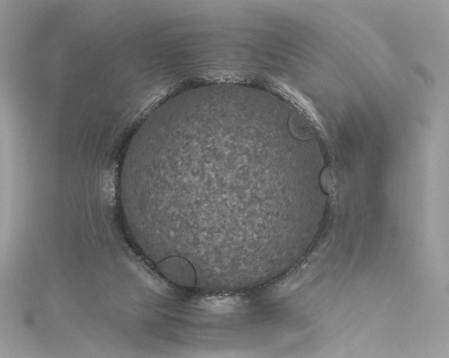 X0000115390065200911171505