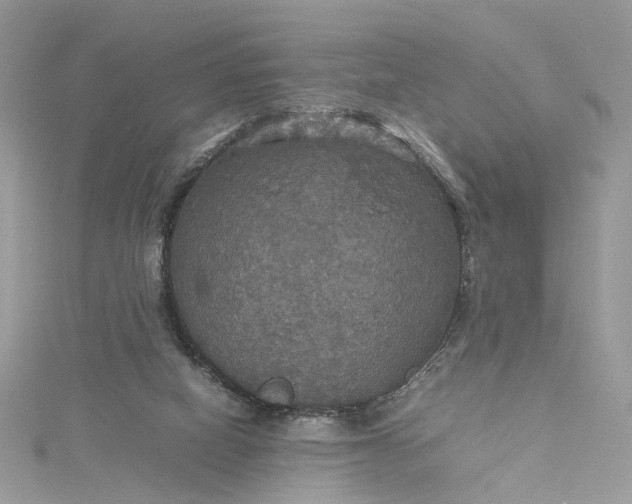 X0000115390066200911171505