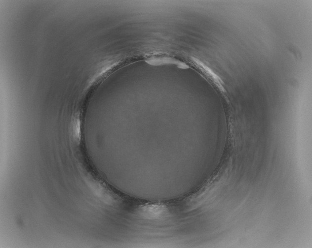 X0000115390067200911171505