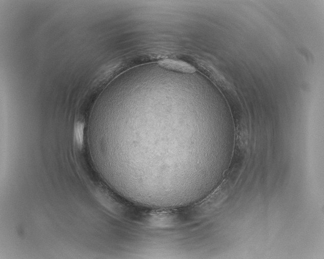 X0000115390070200911171505