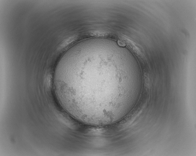 X0000115390071200911171505