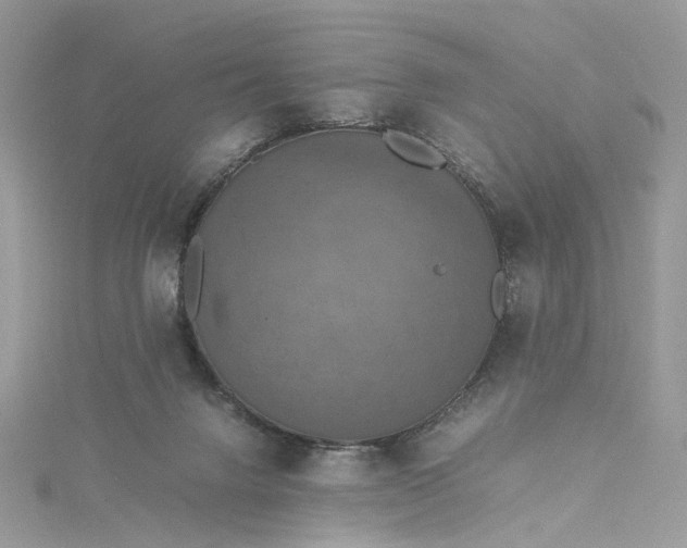 X0000115390072200911171505