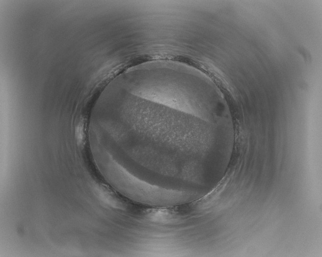 X0000115390074200911171505