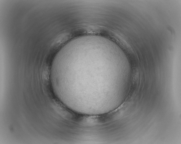 X0000115390078200911171505