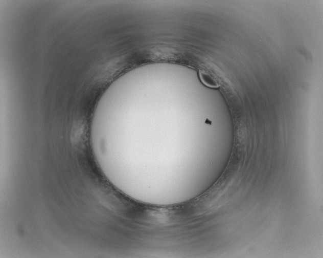 X0000115390079200911171505