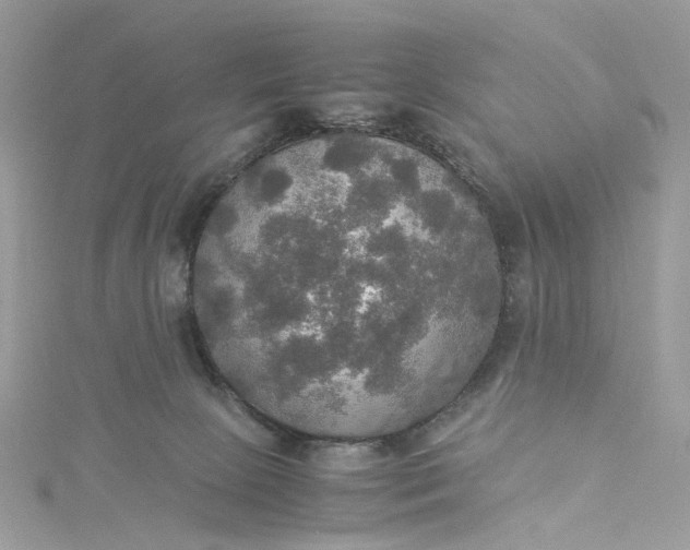 X0000115390081200911171505