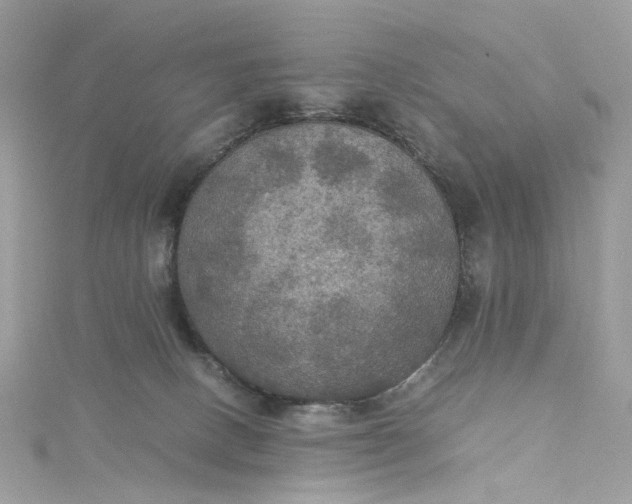 X0000115390082200911171505