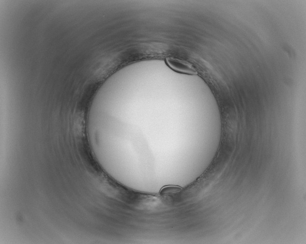 X0000115390083200911171505