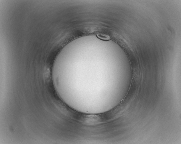 X0000115390087200911171505