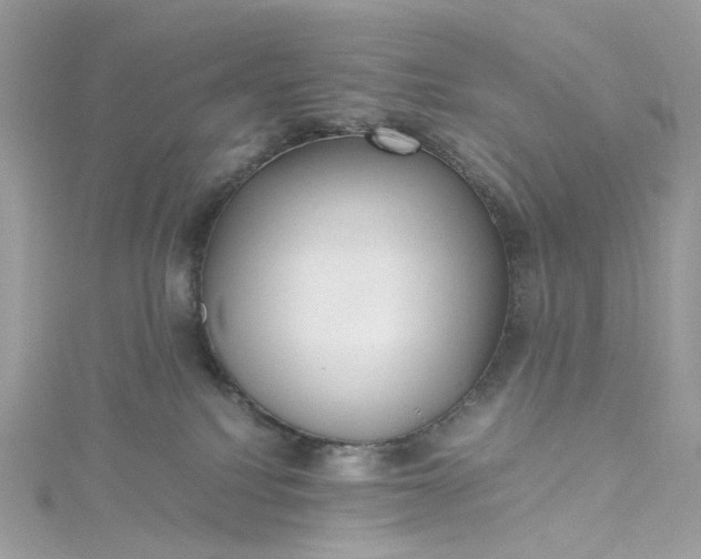 X0000115390088200911171505