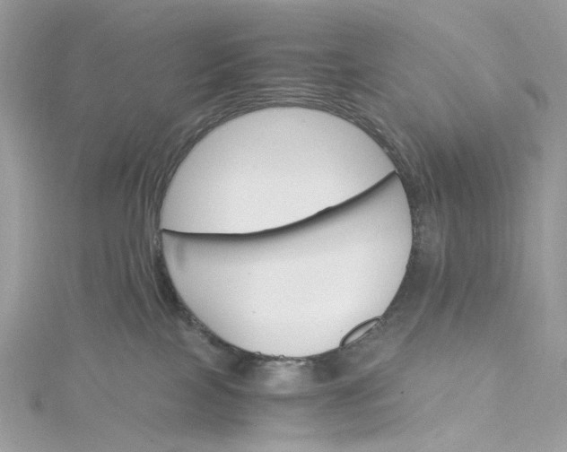 X0000115390089200911171505