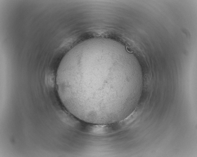 X0000115390090200911171505