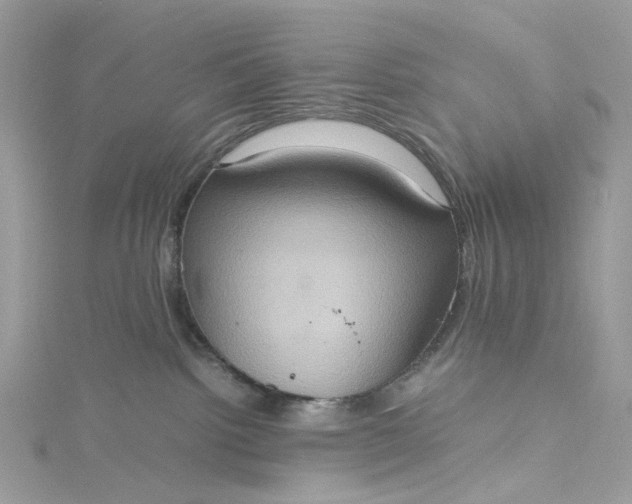 X0000115390092200911171505