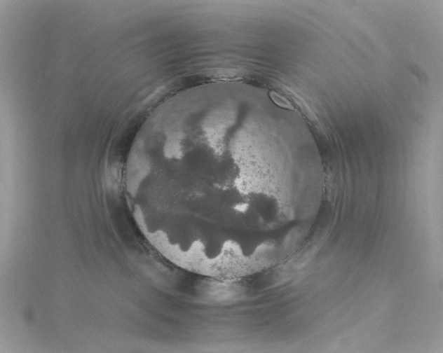 X0000115390093200911171505