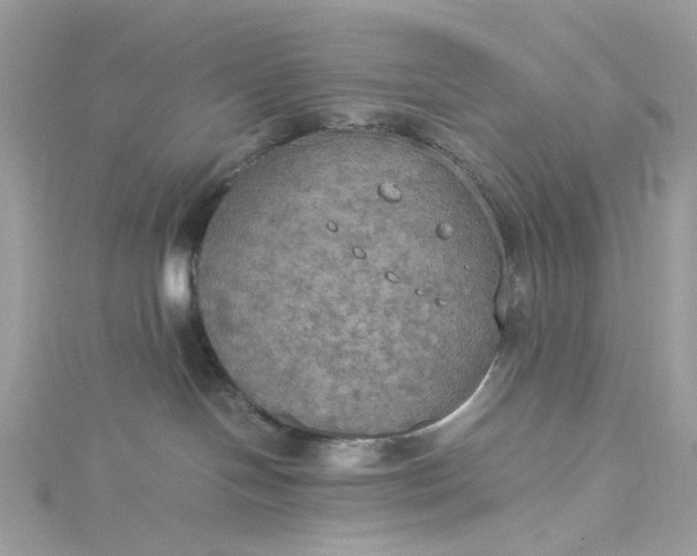 X0000115390094200911171505