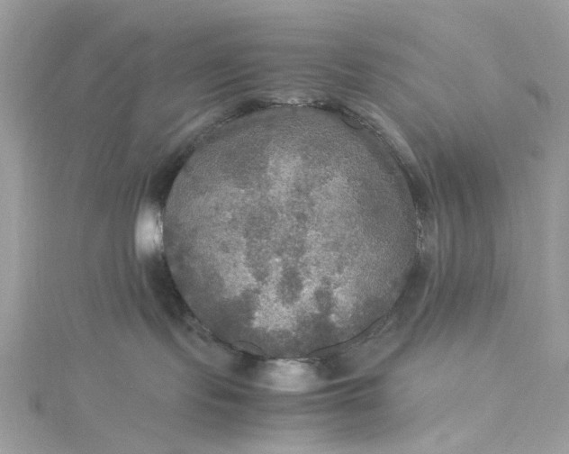 X0000115390095200911171505