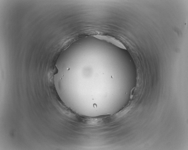 X0000115390096200911171505