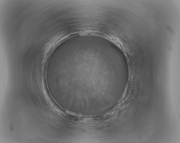 X0000115390097200911171505