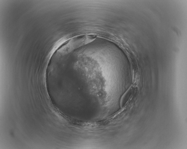 X0000115390099200911171505