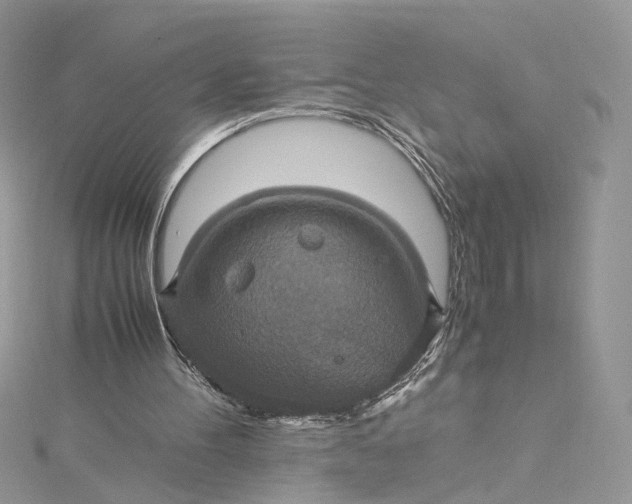 X0000115390100200911171505