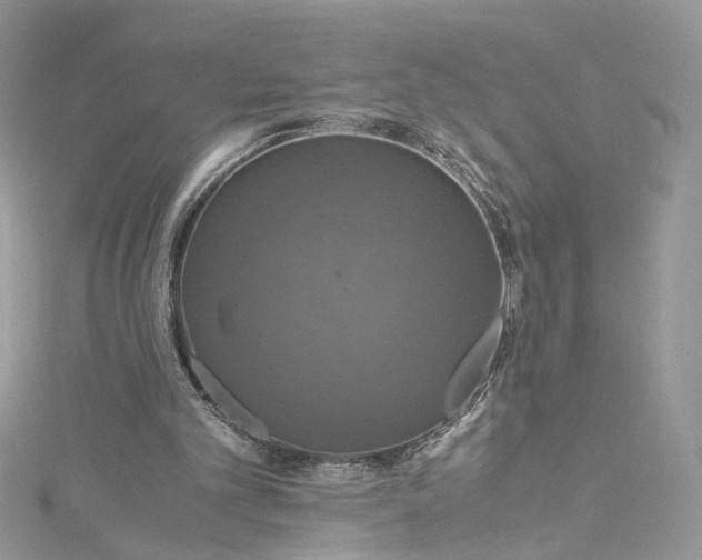 X0000115390101200911171505