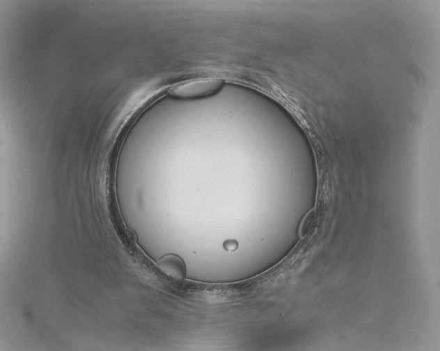 X0000115390103200911171505