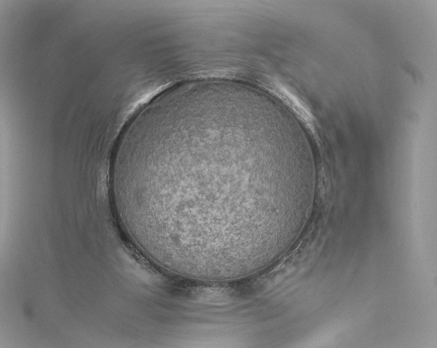 X0000115390107200911171504