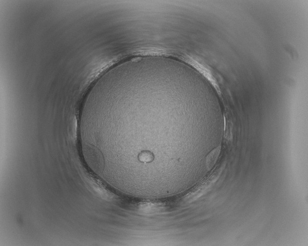 X0000115390109200911171504