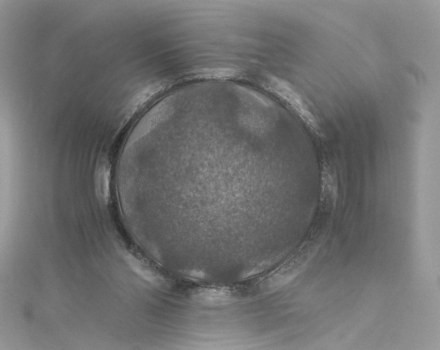 X0000115390110200911171504