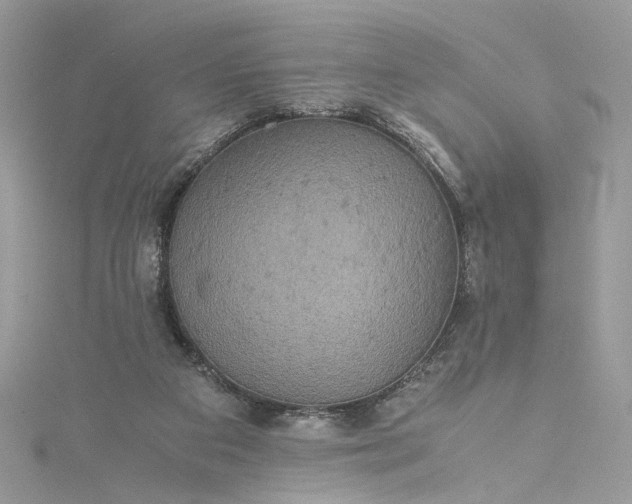 X0000115390113200911171504